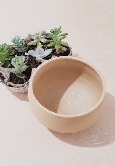 Pottery Wheel Class: Make Your Own Succulent Planter