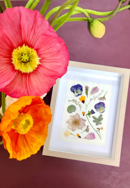 Pressed Flower Art Workshop