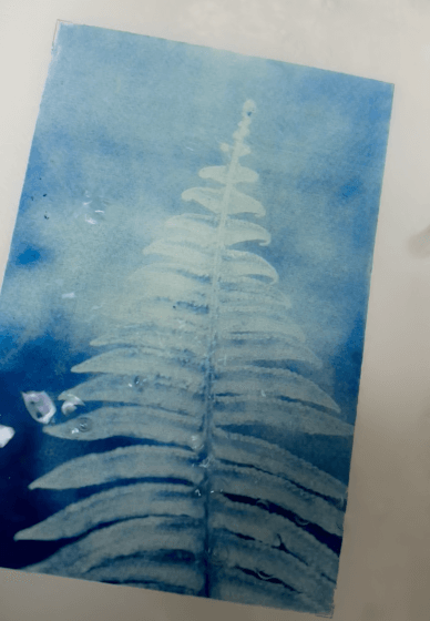 Print Your Photographs as Cyanotype Prints Workshop