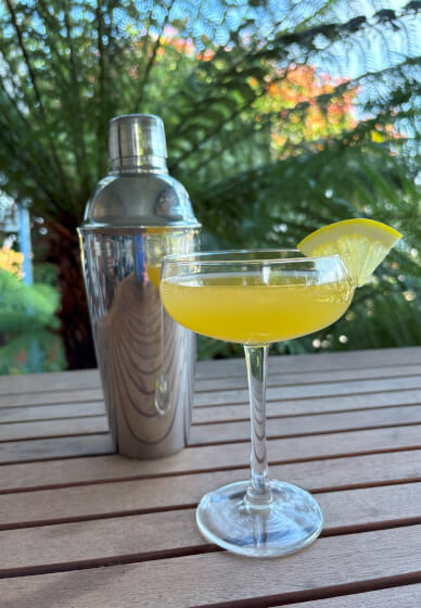 Private Cocktail Class