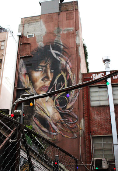 Private Street Art Tour Melbourne CBD