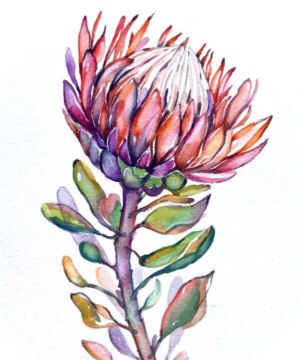 Protea Flower Watercolour Workshop with Ferie Sadeghi