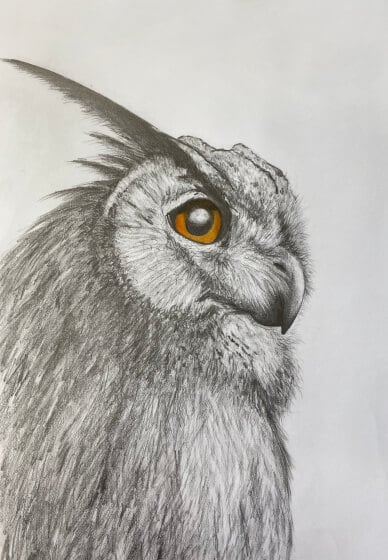 Realistic Drawing Class for Teens