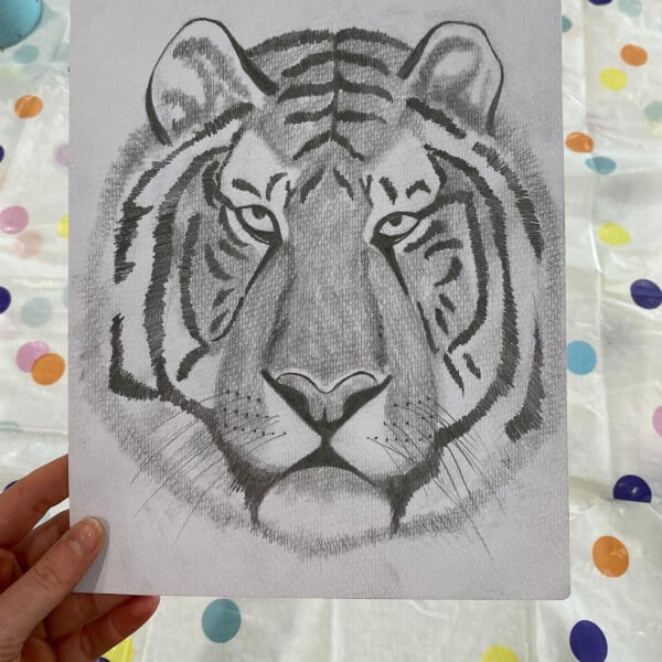 Realistic Tiger Drawing Class for Kids Melbourne | Experiences | ClassBento