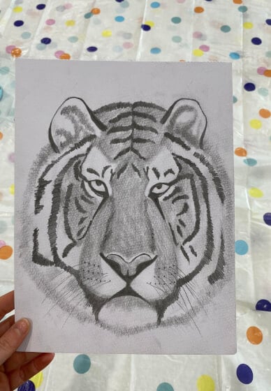 Realistic Tiger Drawing Class for Kids