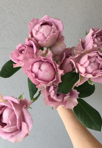 Romance of the Rose Flower Arranging Workshop