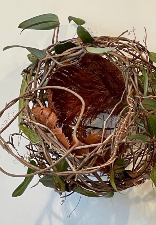 Sculptural Random Weave Basketry Workshop