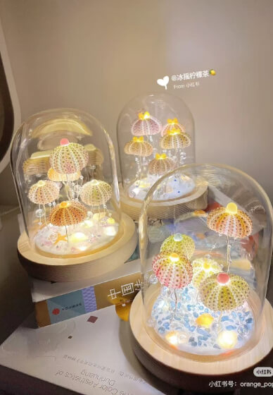 Sea Urchin Night Light Class