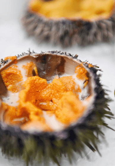 Seafood Cooking Class: Urchin Uncovered