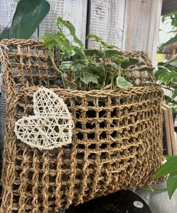 Seagrass Basket Making Workshop