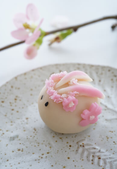 Seasonal Traditional Japanese Sweets Wagashi Workshop