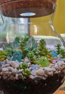 Serene Terrarium Workshop for Beginners