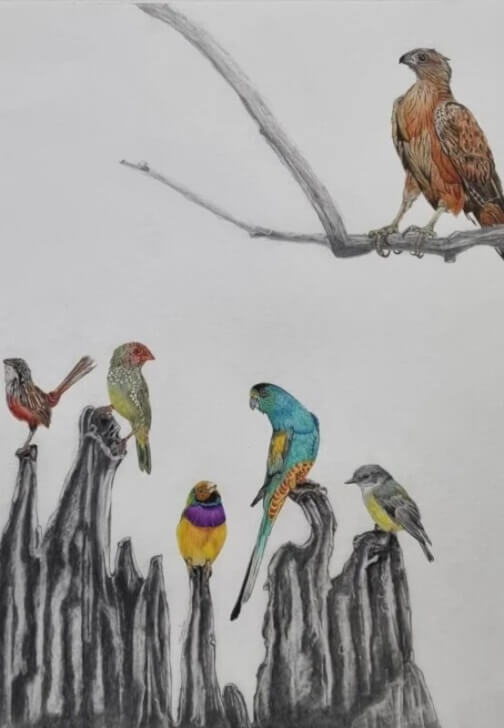 Small Bird Watercolour Workshop