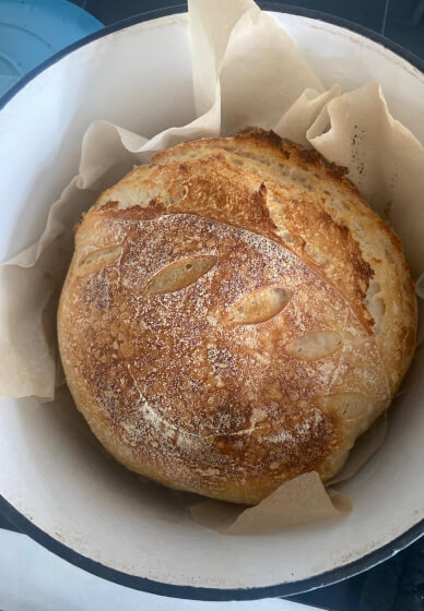 Sourdough Making Class