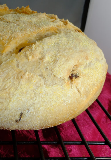 Sourdough Starter Class for Beginners at Habitat Vineyard