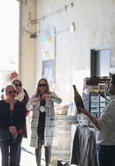 Sparkling Wine Tasting Experience and Tour