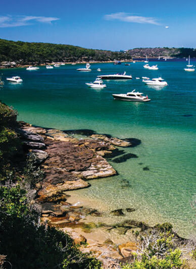 Spit to Manly with Ala Carte Lunch