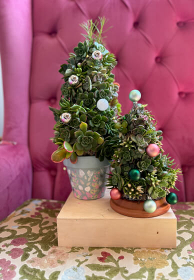 Succulent Christmas Tree Making Workshop