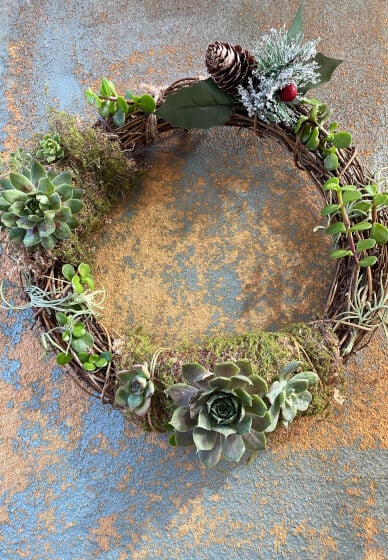 Succulent Christmas Wreath Making Workshop