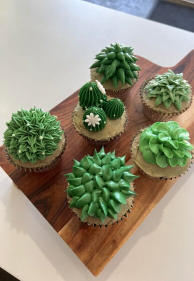 Succulent Cupcake Decorating Class