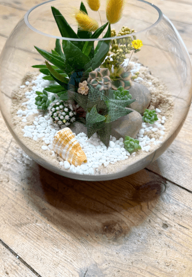 Succulent Terrarium Workshop