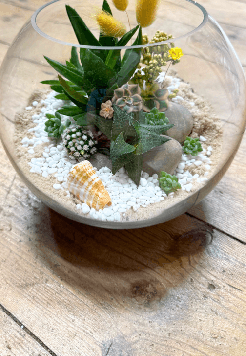 Succulent Terrarium Workshop