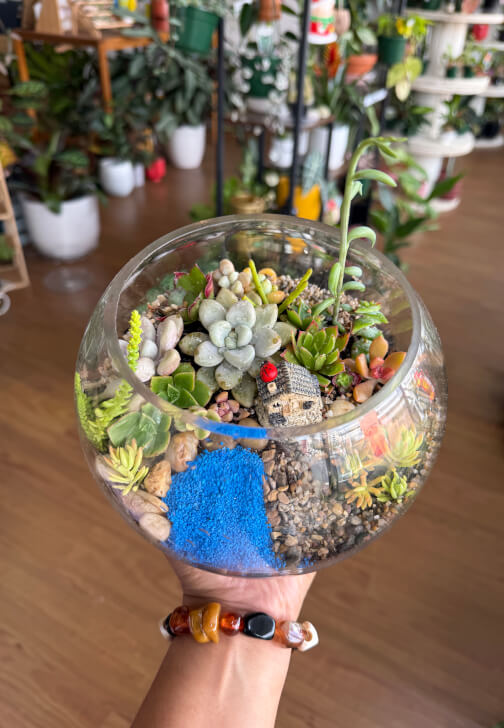 Succulent Terrarium Workshop