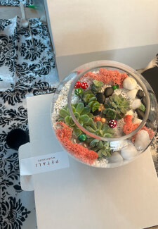 Succulent Terrarium Workshop