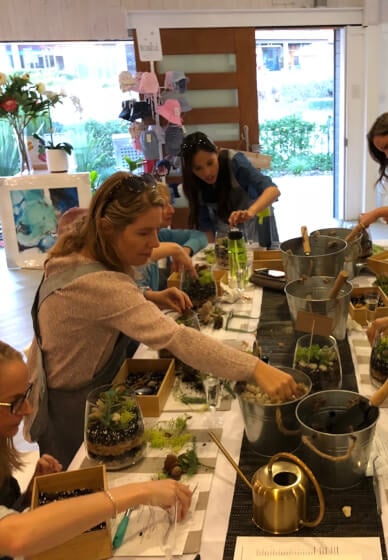 Succulent Terrariums for Beginners Workshop