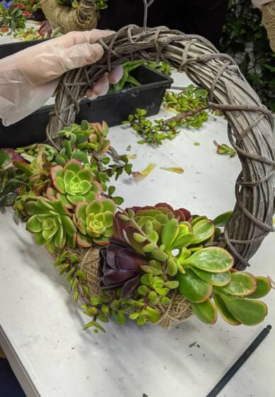 Succulent Wreath Class for Mother's Day