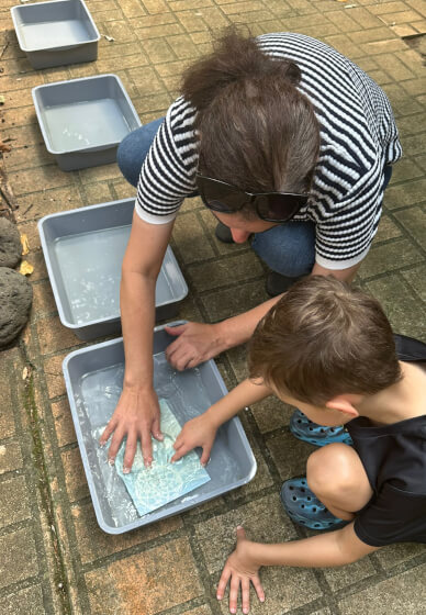 Sunprinting School Holiday Workshop