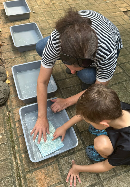 Sunprinting School Holiday Workshop