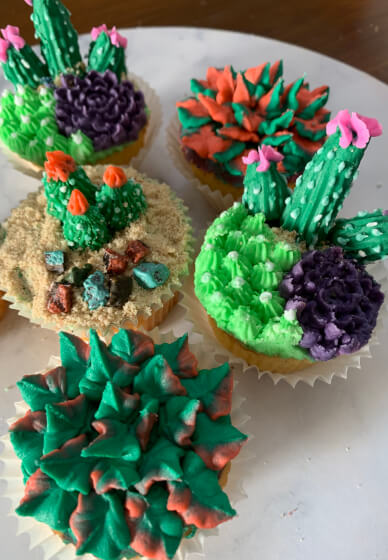 Sweet Succulents Cupcake Decorating Class