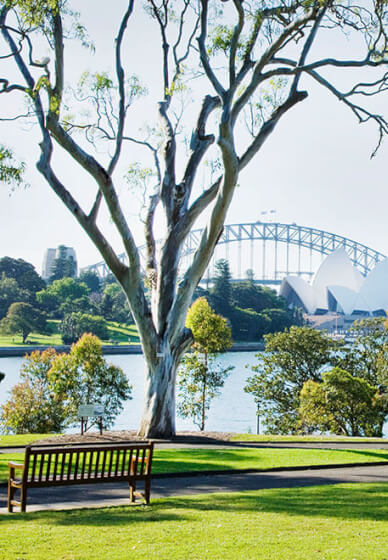 Sydney City Hike and Opera Bar Lunch