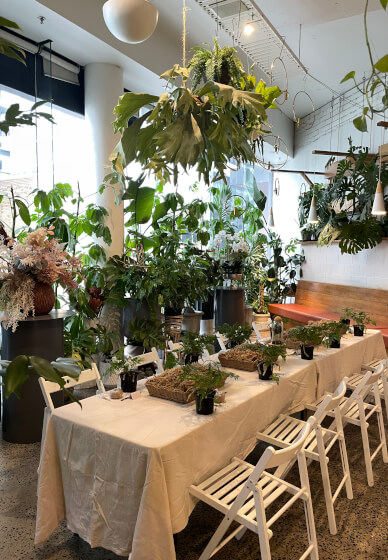 Tamandama Workshop