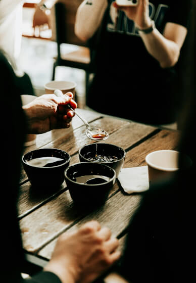 Tea Training for Baristas and Hospitality Teams
