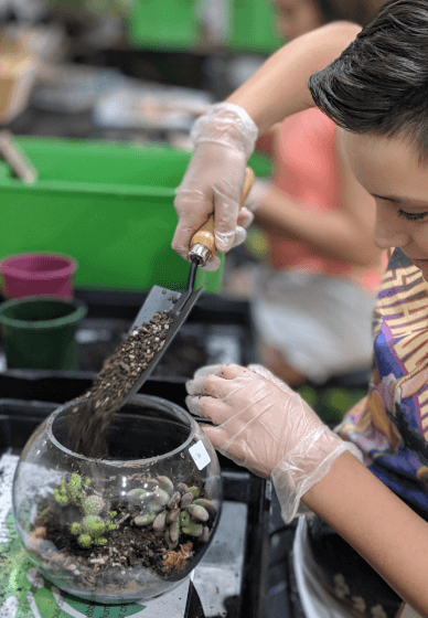 Terrarium Experience for Birthday Parties