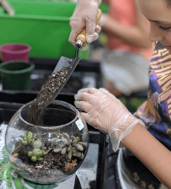 Terrarium Experience for Birthday Parties