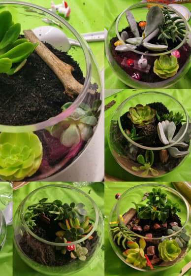 Terrarium Making Workshop