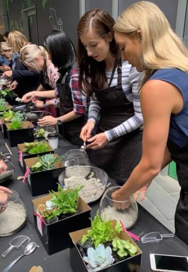 Terrarium or Kokedama Workshop for Team Building