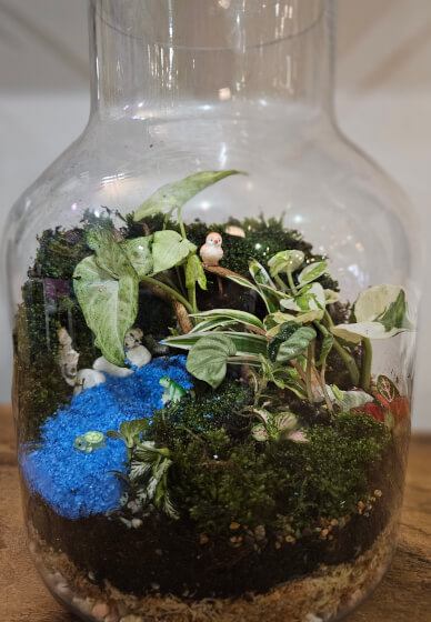 Terrarium Workshop: Making Mud