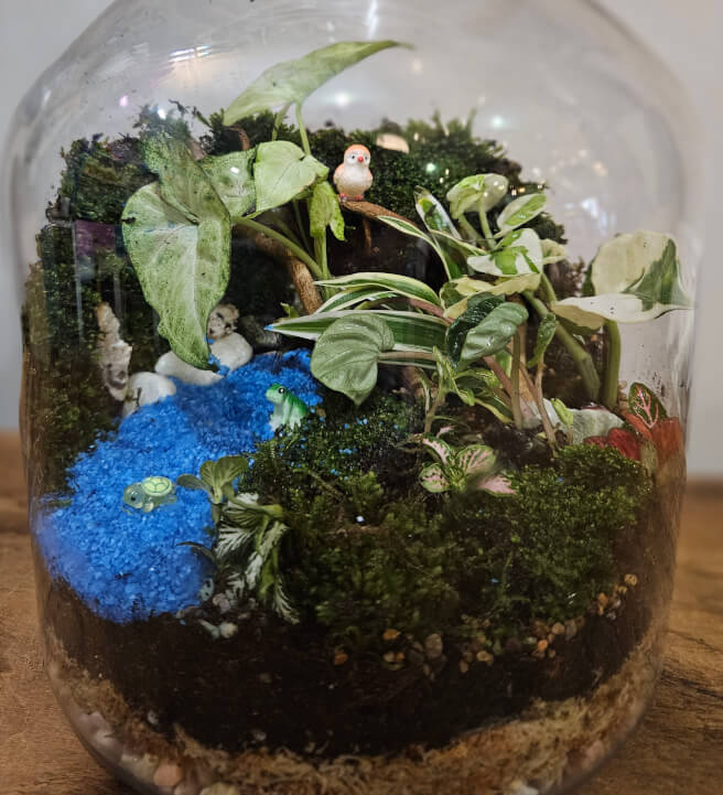Terrarium Workshop: Making Mud