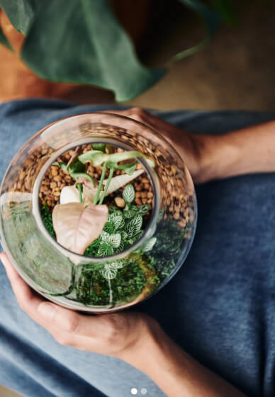Terrarium Workshop