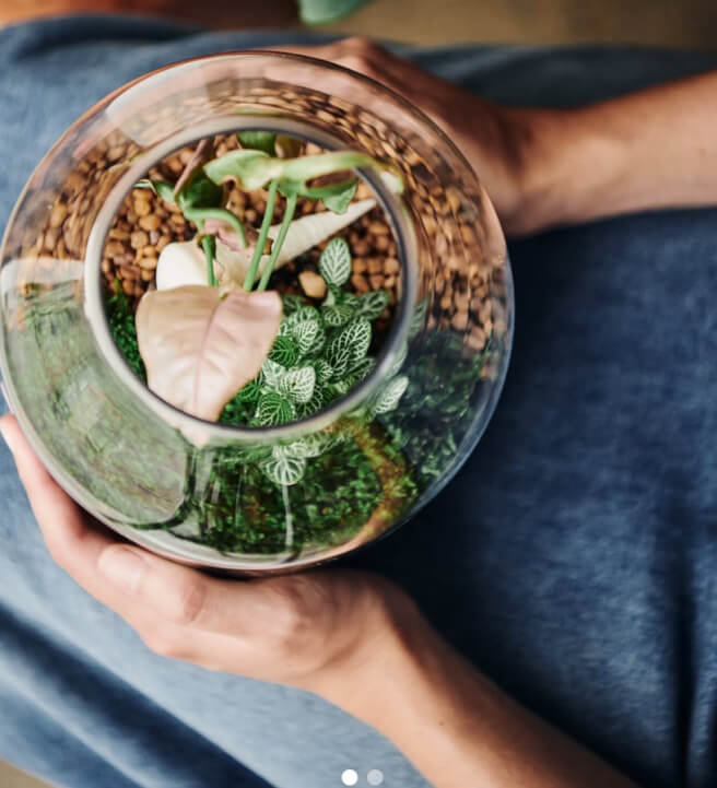 Terrarium Workshop