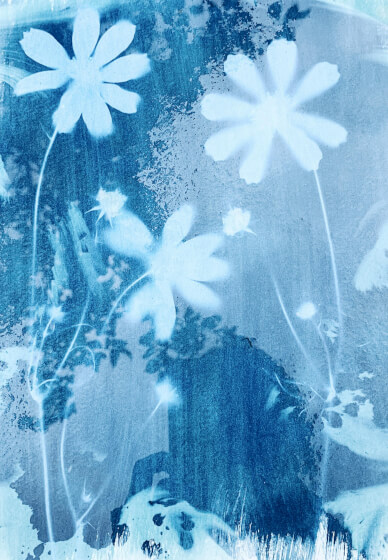 The Art of Sun Printing: Cyanotype Workshop