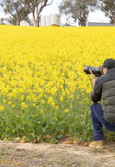 The Canola Trail Photography Class