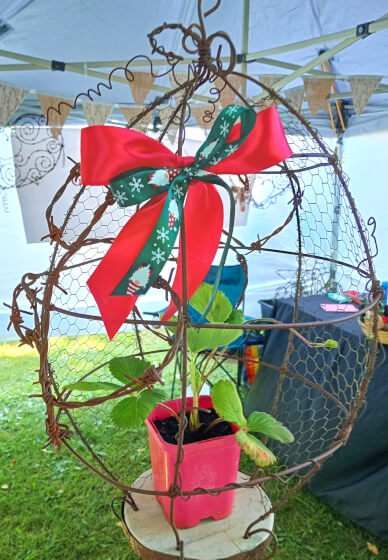 The Embellished Birdcage Workshop