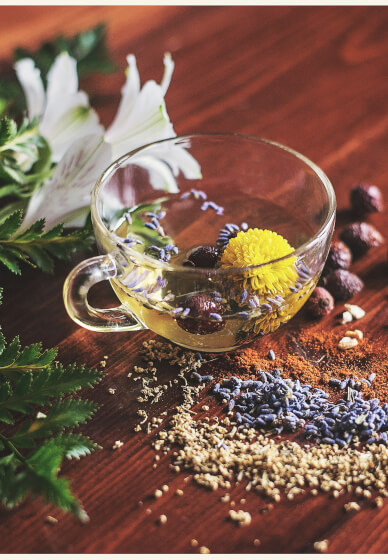 The Healing Cup: Medicinal Tea Blending Workshop