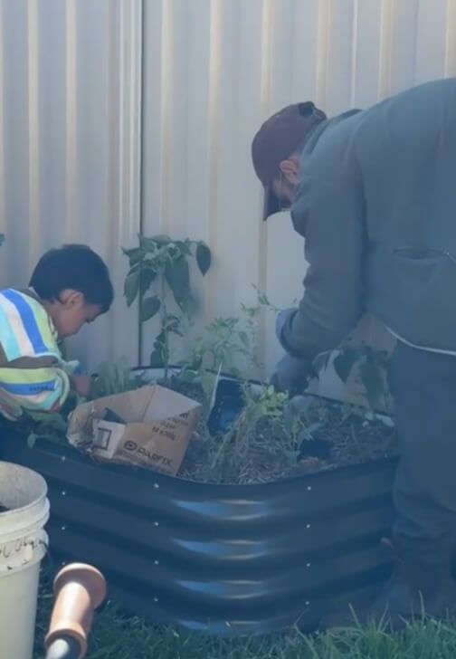 The Zero-to-Harvest Workshop: Start Your First Veggie Plot