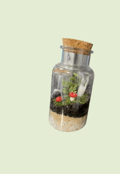 Tiny Terrarium Workshop